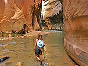 Biking Trips in Zion National Park